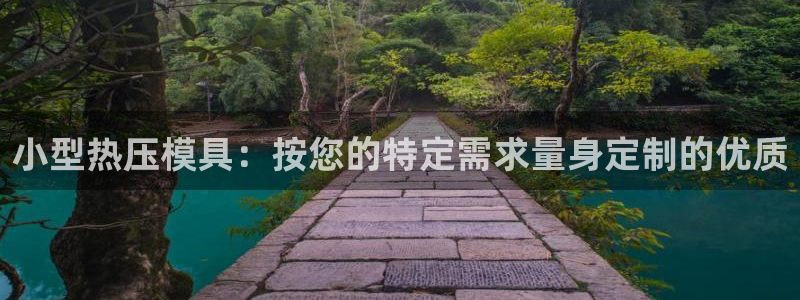 易倍单词平台：小型热压模具：按您的特定需求量身定制的优质