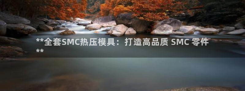 易倍网络技术有限公司是干嘛的：**全套SMC热压模具：打