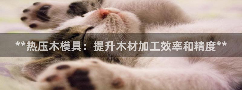 易倍网络技术有限公司是干嘛的：**热压木模具：提升木材加