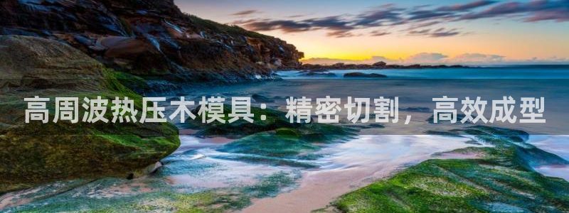 emc易倍老板：高周波热压木模具：精密切割，高效成型
