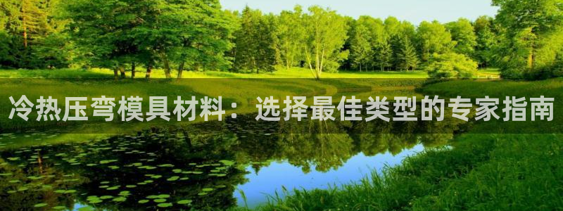 易倍易趣网：冷热压弯模具材料：选择最佳类型的专家指南