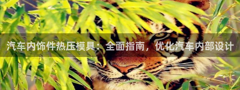 易倍申多少钱一盒：汽车内饰件热压模具：全面指南，优化汽车