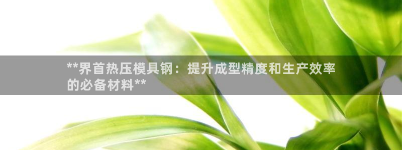 emc低频不过：**界首热压模具钢：提升成型精度和生产效