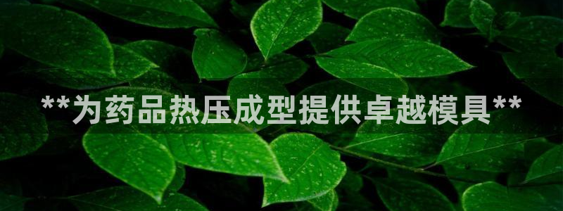 易倍企业管理软件：**为药品热压成型提供卓越模具**