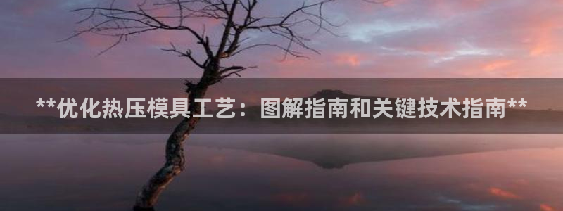 易倍达科技有限公司代运营：**优化热压模具工艺：图解指南