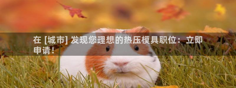 emc平台：在 [城市] 发现您理想的热压模具职位：立即