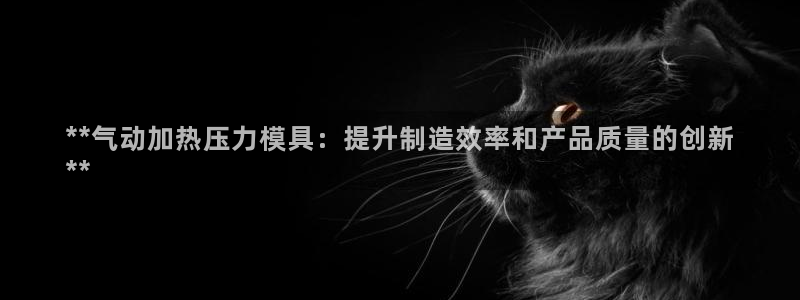 易倍达科技有限公司怎么样：**气动加热压力模具：提升制造