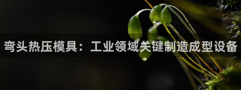 emc易倍电竞