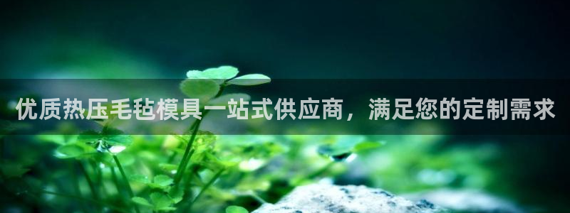 易倍网络技术有限公司官网
