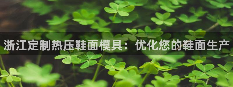 易倍申厂家：浙江定制热压鞋面模具：优化您的鞋面生产