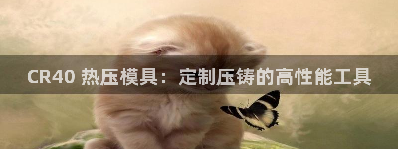 emc易倍登录：CR40 热压模具：定制压铸的高性能工具