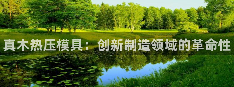emc32软件使用说明：真木热压模具：创新制造领域的革命