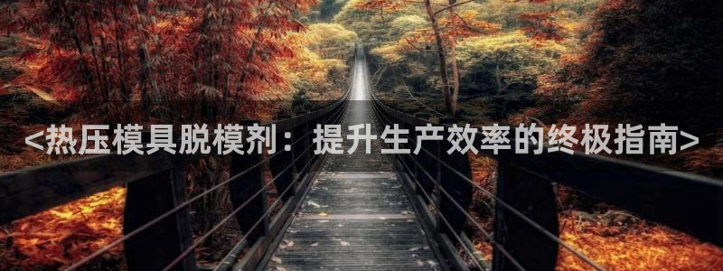 易倍单词登录网站：<热压模具脱模剂：提升生产效率的终极指