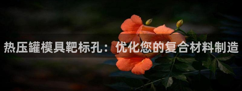 emc低频不过：热压罐模具靶标孔：优化您的复合材料制造