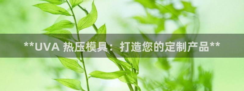 易倍全站下载：**UVA 热压模具：打造您的定制产品**