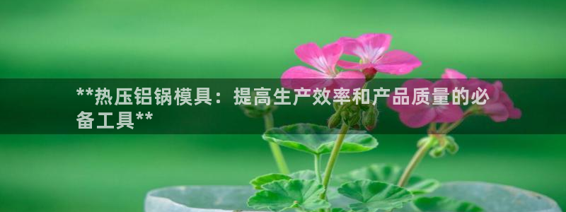 emc全站易倍：**热压铝锅模具：提高生产效率和产品质量