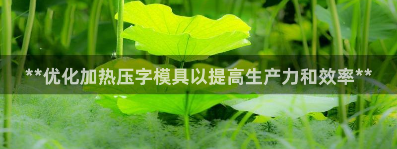 emc参数：**优化加热压字模具以提高生产力和效率**