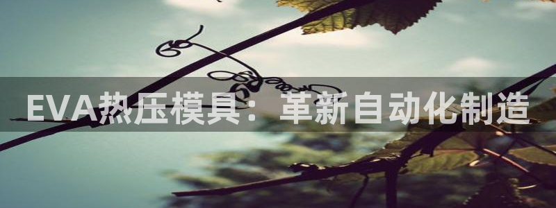 易倍申的包装规格：EVA热压模具：革新自动化制造