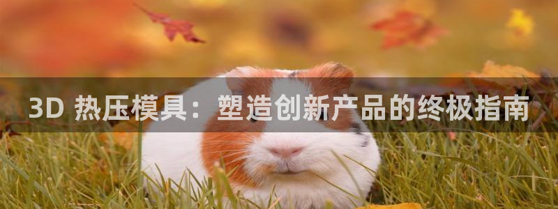 易倍全站下载：3D 热压模具：塑造创新产品的终极指南