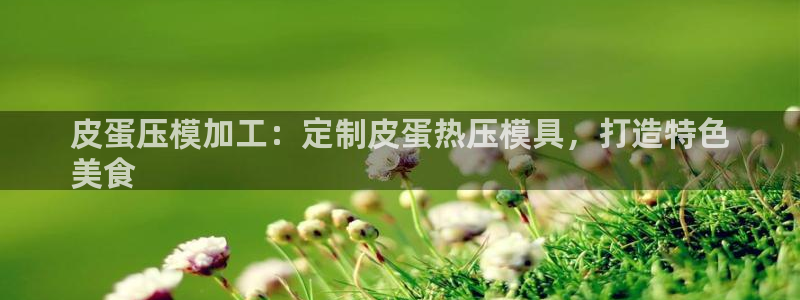 易倍申能长期吃吗：皮蛋压模加工：定制皮蛋热压模具，打造特