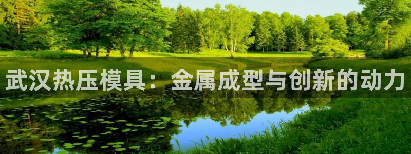 emc易倍首存500送球衣：武汉热压模具：金属成型与创新