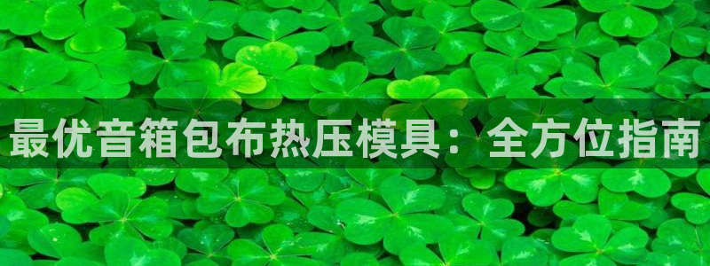 易倍申价格：最优音箱包布热压模具：全方位指南
