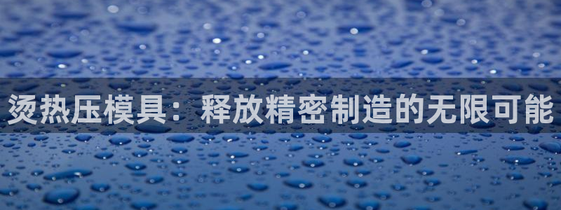 易倍申多少钱一盒：烫热压模具：释放精密制造的无限可能