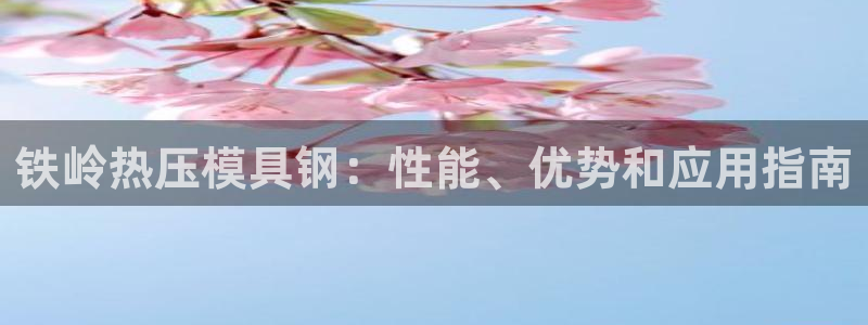 emc 倍频：铁岭热压模具钢：性能、优势和应用指南