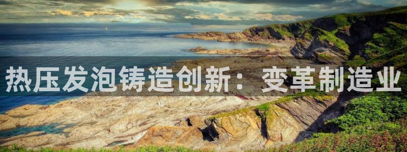 emc服务器是什么：热压发泡铸造创新：变革制造业