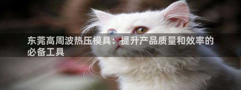 emc倍频超了：东莞高周波热压模具：提升产品质量和效率的