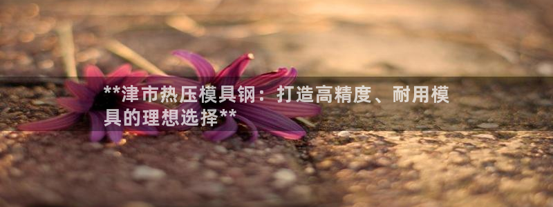 emc全站app下载：**津市热压模具钢：打造高精度、耐