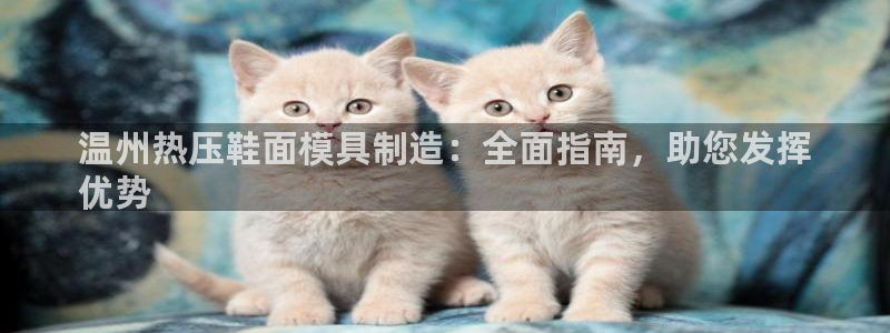 易倍申价格是多少：温州热压鞋面模具制造：全面指南，助您发