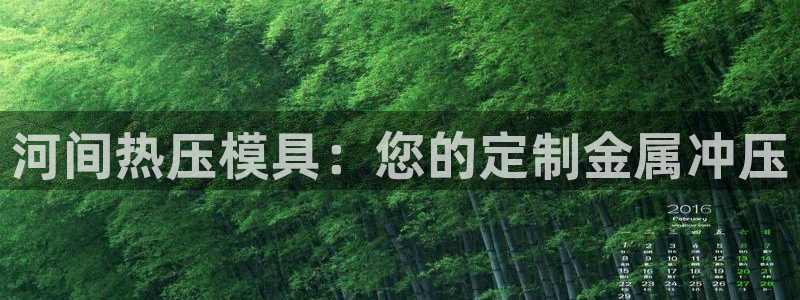 易倍单词官方网站的：河间热压模具：您的定制金属冲压