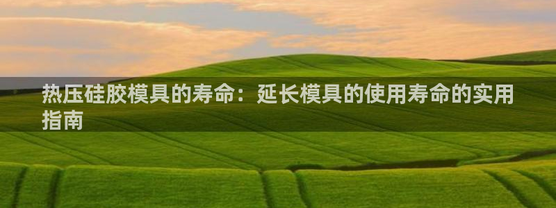易倍单词app官网：热压硅胶模具的寿命：延长模具的使用寿