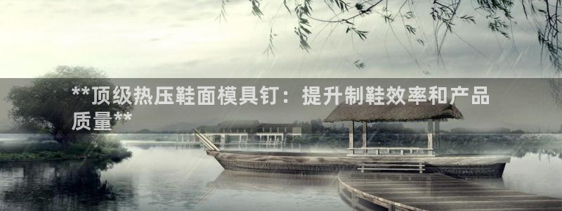 emc易倍网页版：**顶级热压鞋面模具钉：提升制鞋效率和