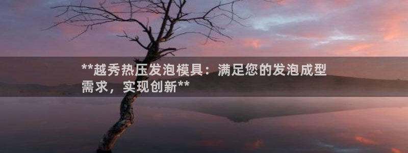 易倍纤代餐粉能减肥吗：**越秀热压发泡模具：满足您的发泡