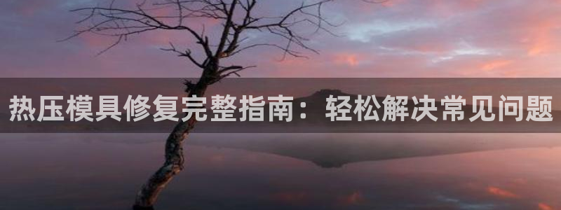 易倍申的副作用：热压模具修复完整指南：轻松解决常见问题