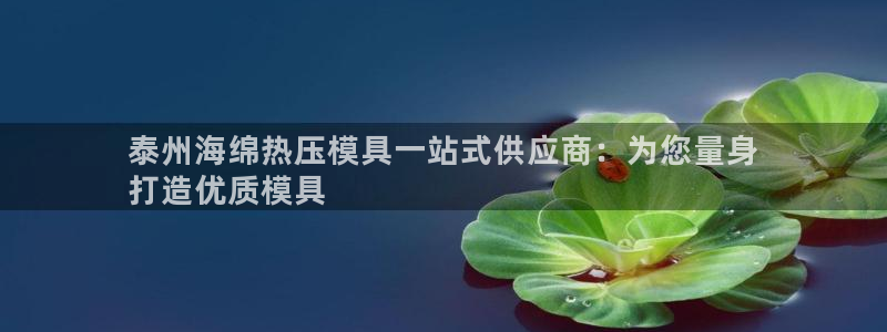 易倍易趣网：泰州海绵热压模具一站式供应商：为您量身
打造