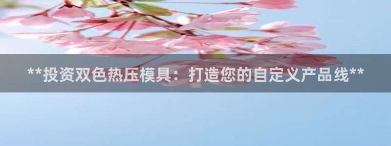 emc高频比低频好改：**投资双色热压模具：打造您的自定
