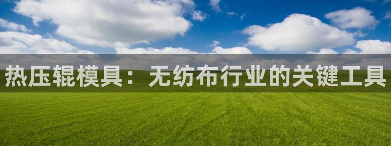易倍单词官方网站下载安卓：热压辊模具：无纺布行业的关键工