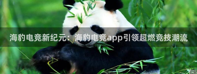 小艾电竞官网：海豹电竞新纪元：海豹电竞app引领超燃竞技潮流