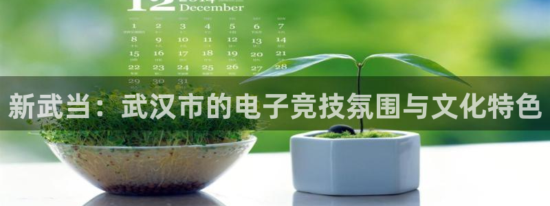 小艾电竞app下载官网