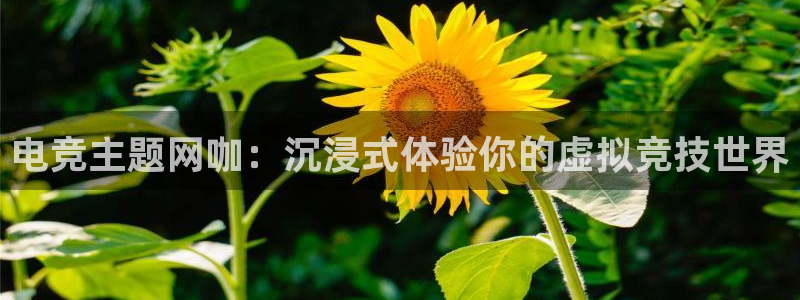 小艾电竞app下载官网
