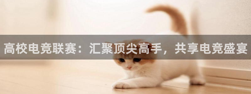 小艾电竞