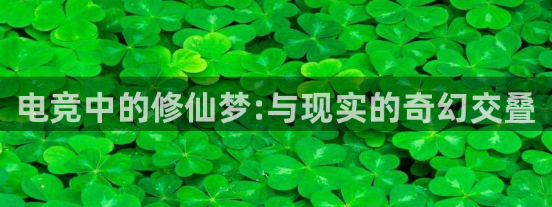 小艾电竞app下载官网