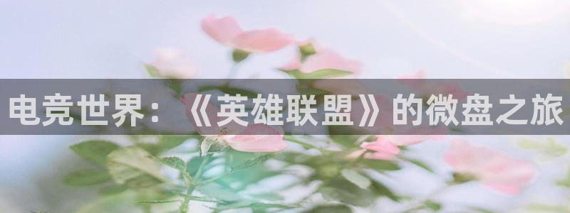 小艾电竞
