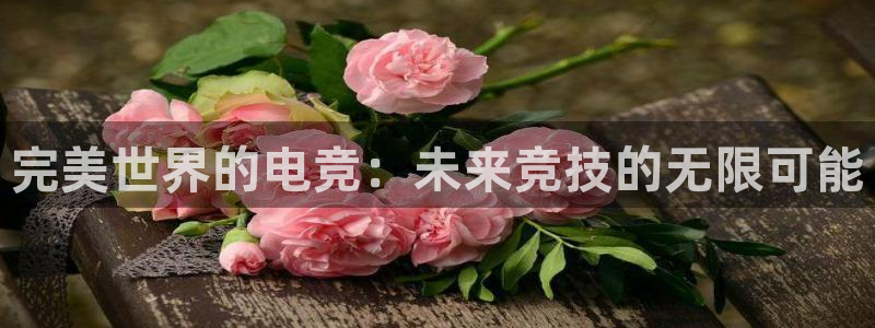 小艾电竞官网：完美世界的电竞：未来竞技的无限可能