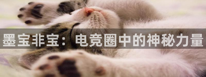 小艾电竞网页版登录