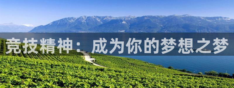 小艾电竞app：竞技精神：成为你的梦想之梦
