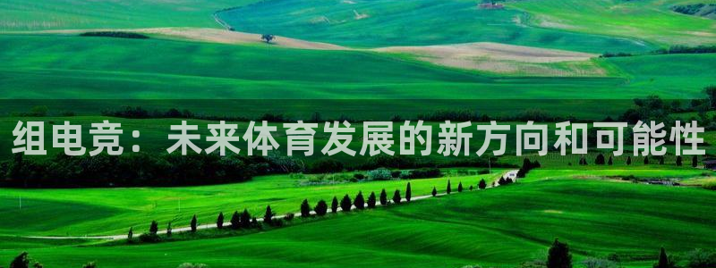 小艾电竞app：组电竞：未来体育发展的新方向和可能性